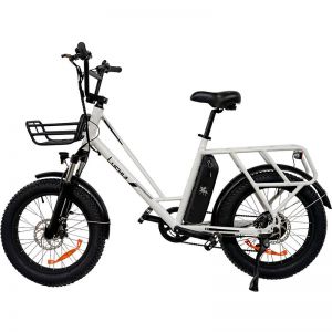 FAT EBIKE TAURUS 250W 36V 10AH 20"x 3"wiel - € 1099,00